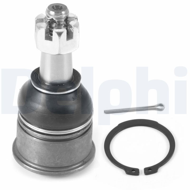 DELPHI Šarniir TC4689