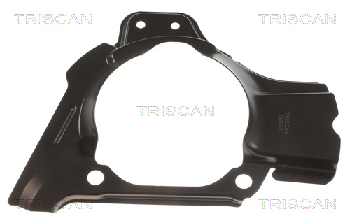 TRISCAN Panel rozbryzgiwujący, tarcza hamulcowa 8125 15101