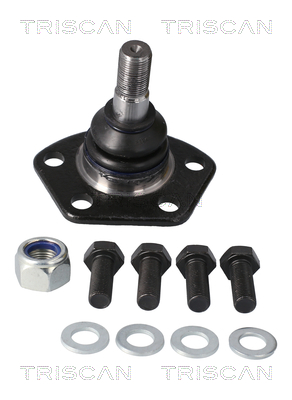 TRISCAN Šarniir 8500 10504