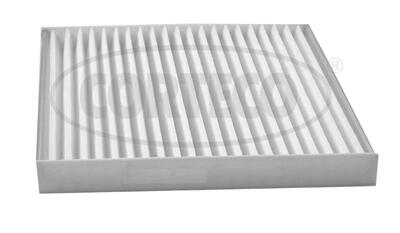 CORTECO Filter,salongiõhk 80004700