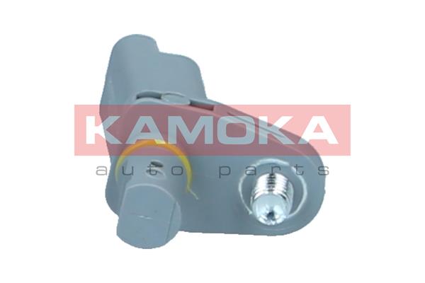 KAMOKA Andur, rattapöörete arv 1060714