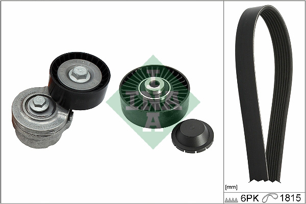Schaeffler INA Zestaw paska klinowego wielorowkowego 529 0593 10