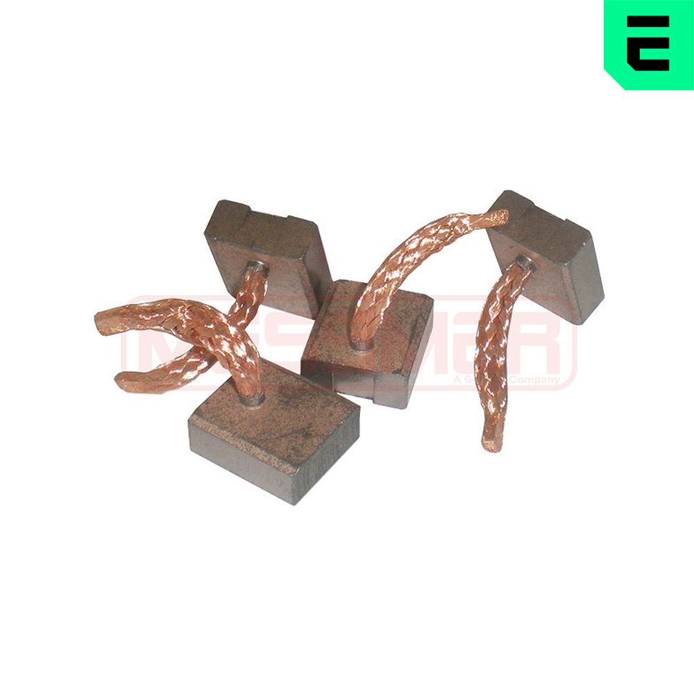ERA anglies šepetėlis, starteris 233022