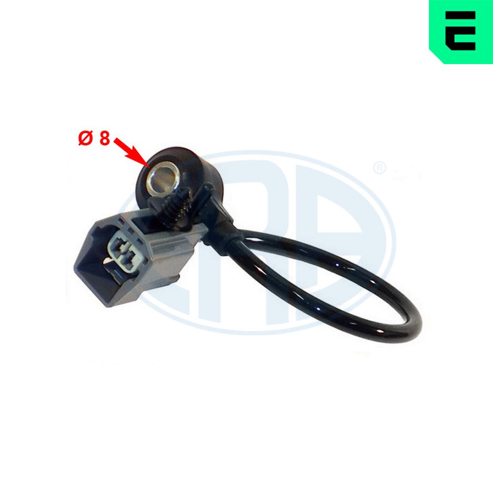 ERA Nakutustunnistin 550295A