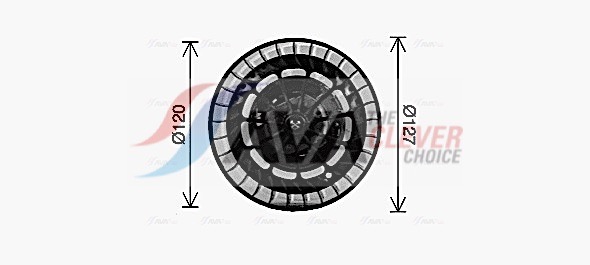AVA QUALITY COOLING Salongipuhur BW8610