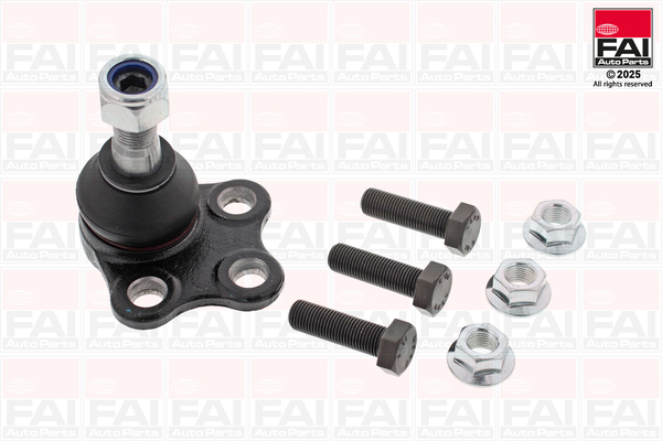 FAI AutoParts Šarniir SS9181