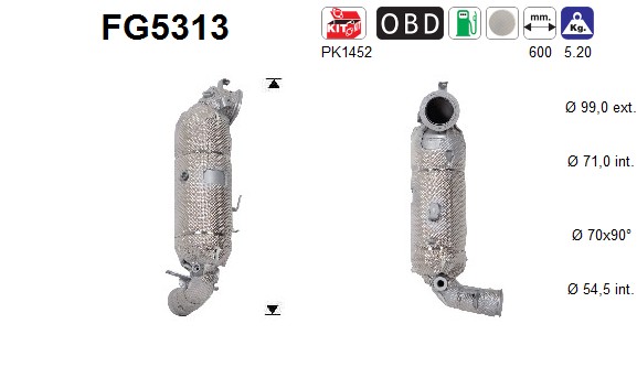 AS DPF kübemefilter FG5313