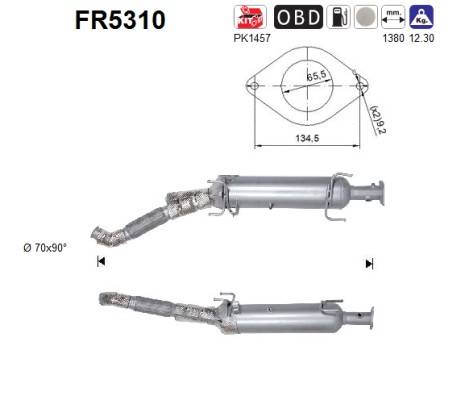 AS DPF kübemefilter FR5310