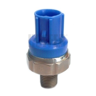 HOFFER Detonatsiooniandur 7517982