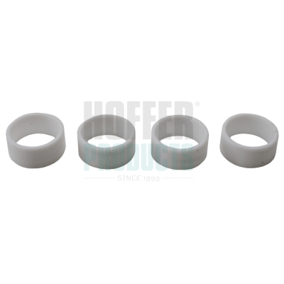 HOFFER Kruvi, sissepritsedüüsi kinnitus 80298512