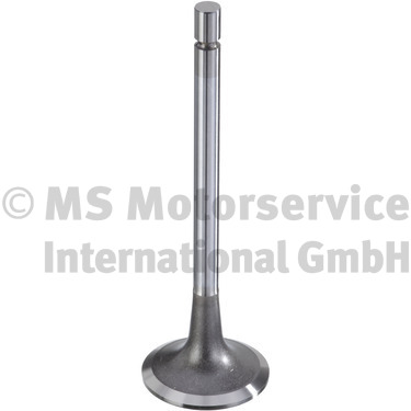 TRW Engine Component Sisselaskeklapp 160054