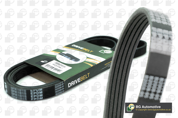 BGA Pasek klinowy wielorowkowy 5PK1500