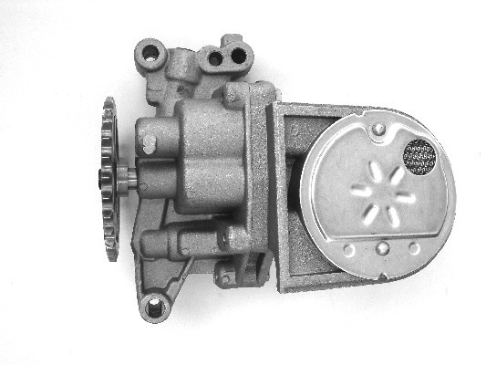 BGA Õlipump LP0496