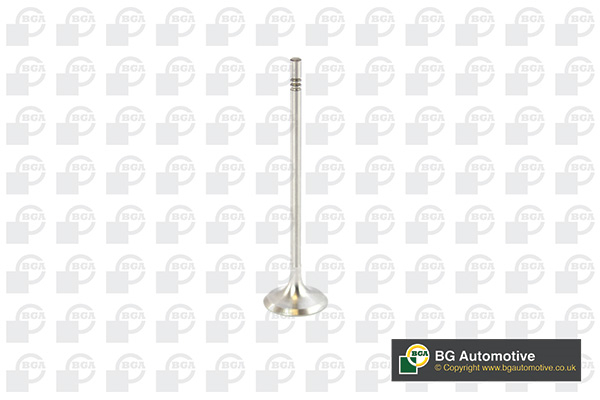 BGA Imuventtiili V016839