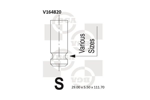BGA Sisselaskeklapp V164820