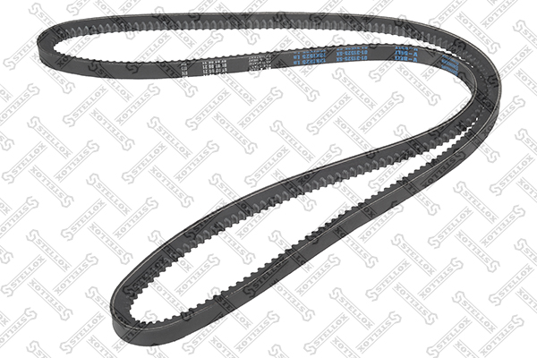 STELLOX Pasek klinowy wielorowkowy 01-31525-SX