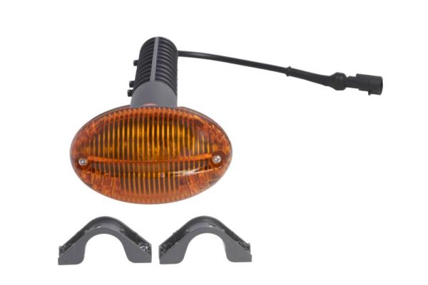 TRUCKLIGHT Blinker CL-IV013L