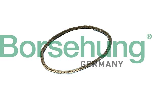Borsehung pavaros grandinė B12768