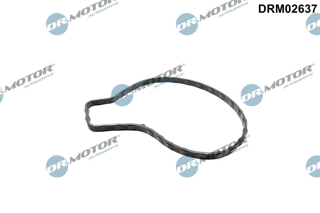 Dr.Motor Automotive Tiiviste, vesipumppu DRM02637
