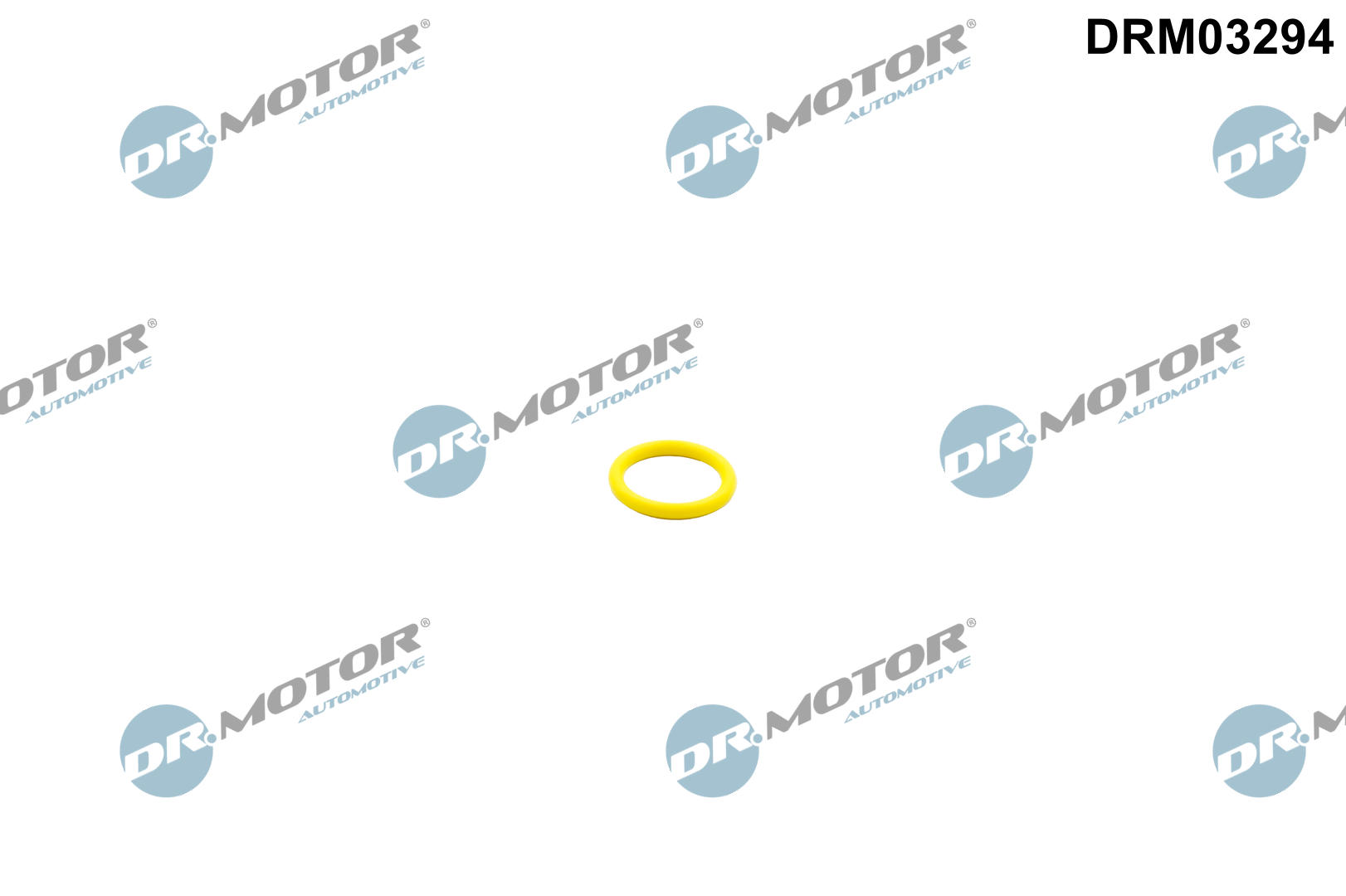 Dr.Motor Automotive Pierścień zamykający, pompa paliwowa DRM03294