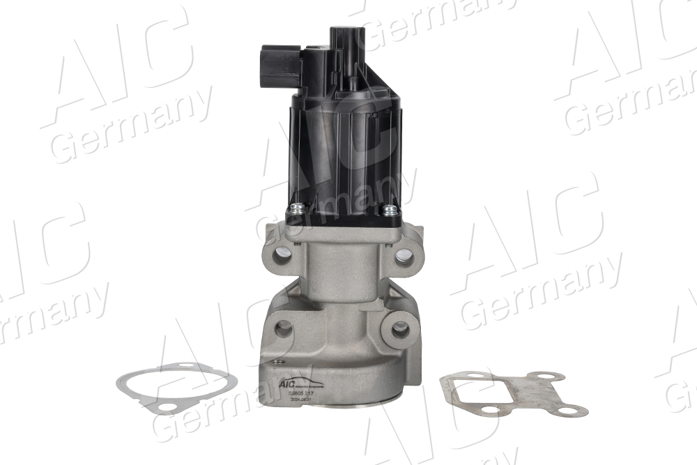AIC EGR-klapp 58805