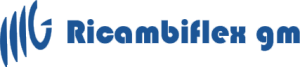 RICAMBIFLEX GM