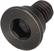 QUICK BRAKE Kruvi,pidurisadul
