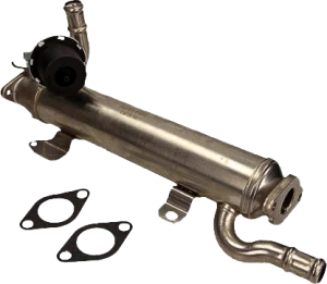 BorgWarner (Wahler) Moduł AGR